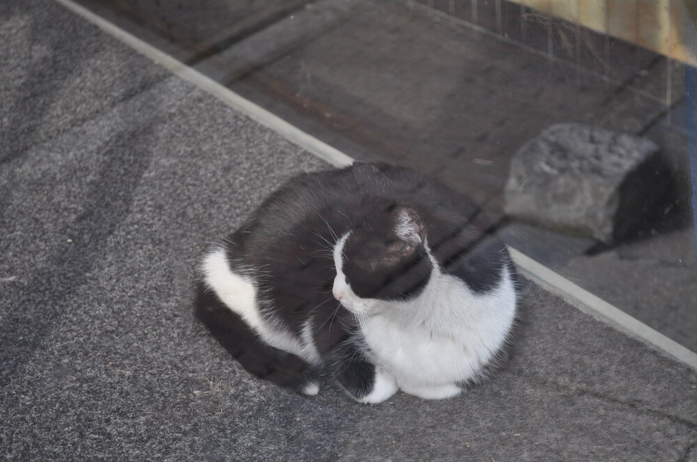 вояж 2013  (2805).jpg