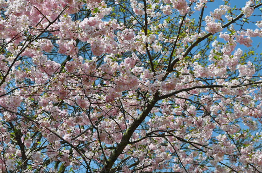 вояж 2013  (762).jpg