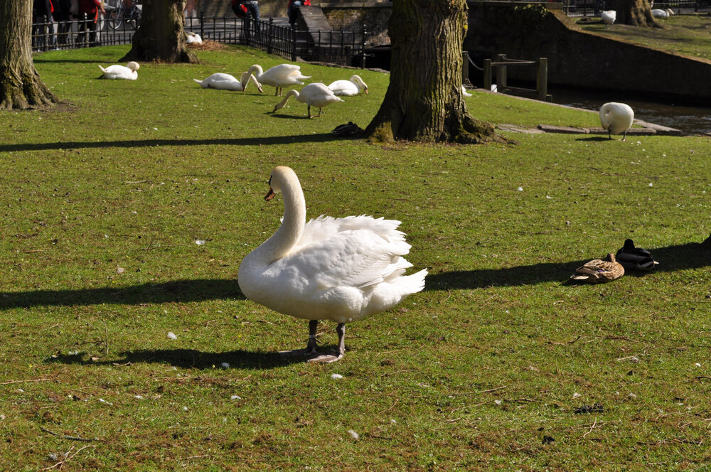 вояж 2013  (3153).jpg