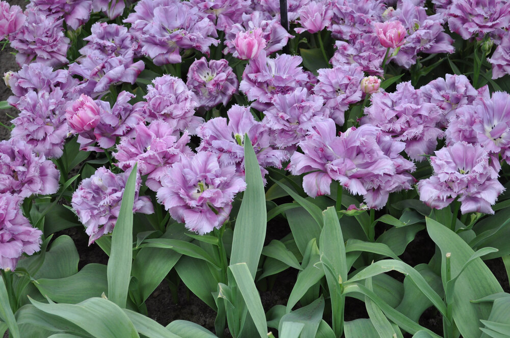 вояж 2013  (1892).jpg