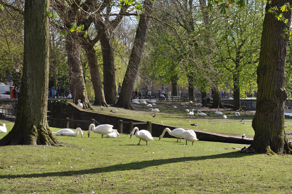 вояж 2013  (3154).jpg