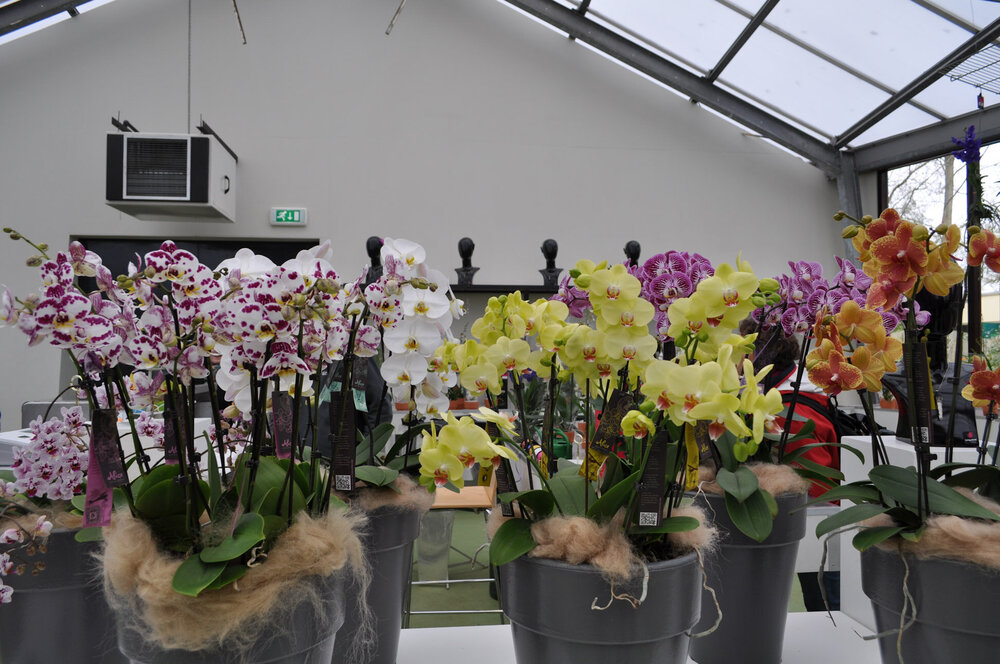 вояж 2013  (2289).jpg