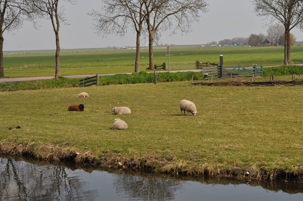 вояж 2013  (1332).jpg