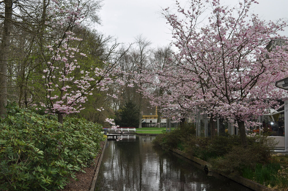 вояж 2013  (2099).jpg