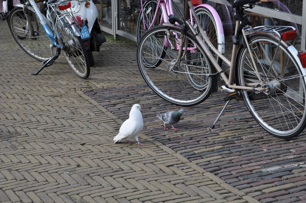 вояж 2013  (2715).jpg