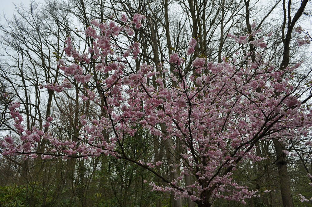 вояж 2013  (2102).jpg