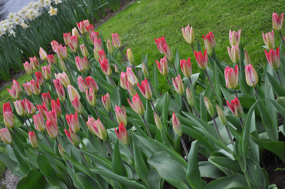 вояж 2013  (1840).jpg