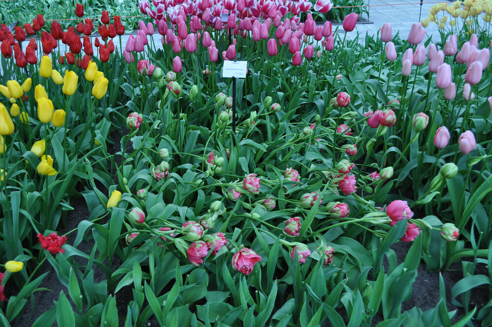 вояж 2013  (2004).jpg