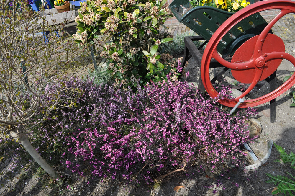 вояж 2013  (1539).jpg