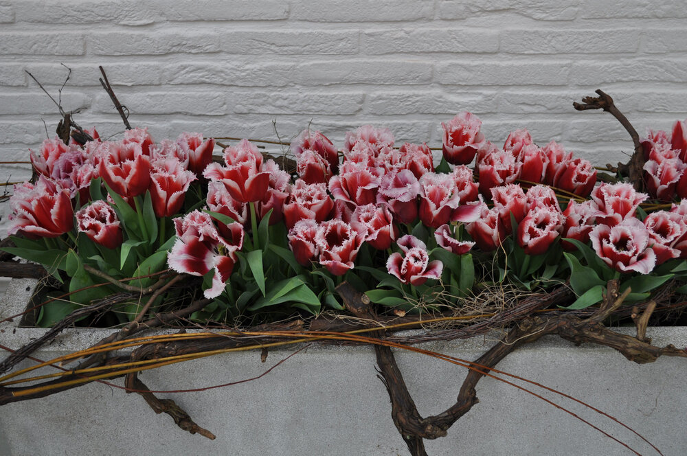 вояж 2013  (2187).jpg