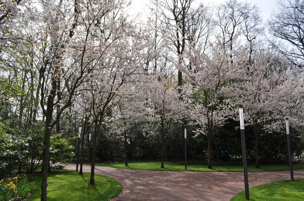 вояж 2013  (2472).jpg