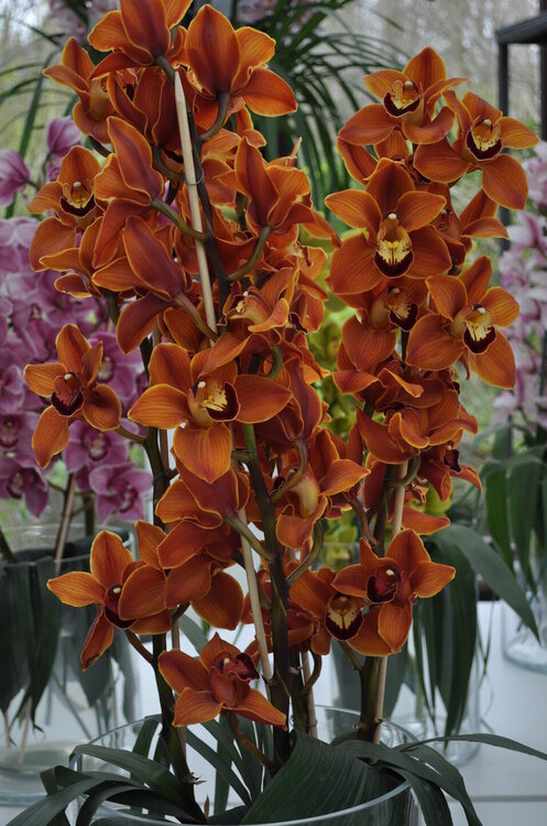 вояж 2013  (2296).JPG