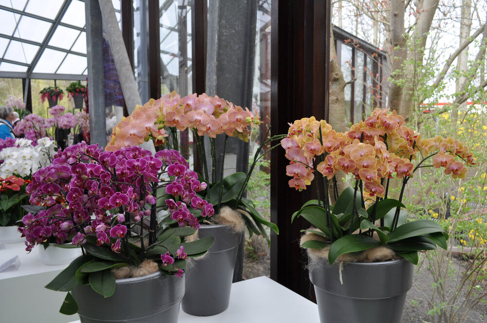 вояж 2013  (2274).jpg