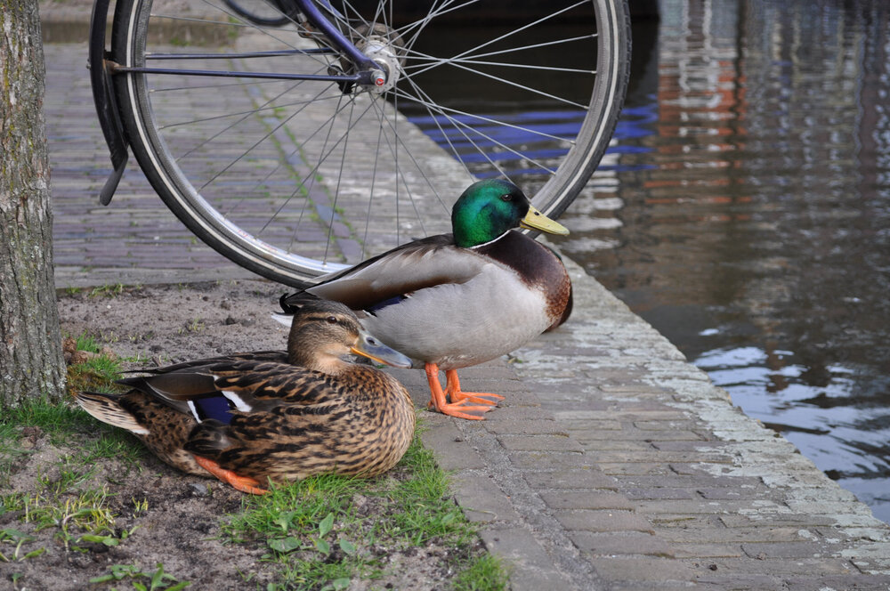 вояж 2013  (2795).jpg