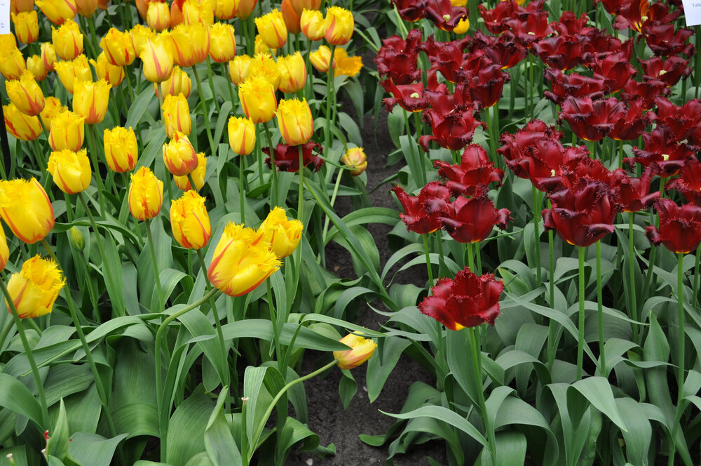 вояж 2013  (1946).jpg