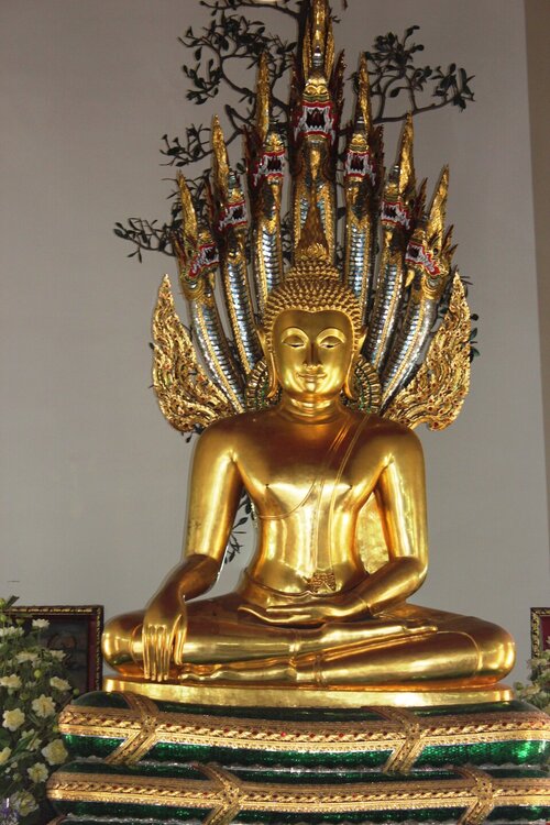 Изображение 344.jpg