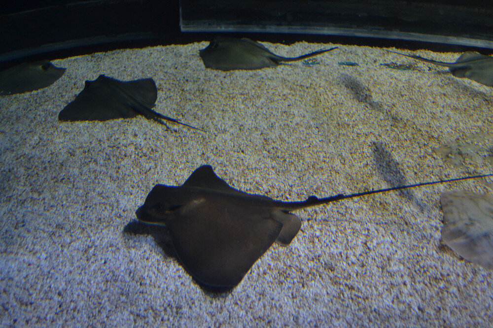 i - 2020-04-18T215426.323.jpg