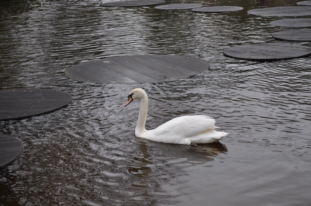 вояж 2013  (1834).jpg