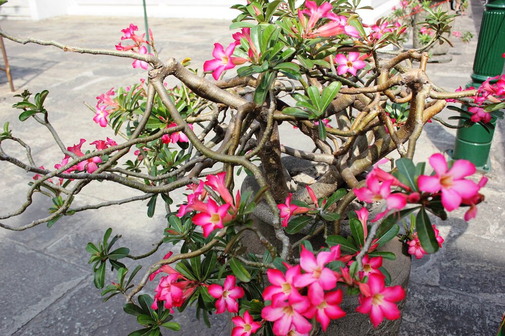 Изображение 260.jpg