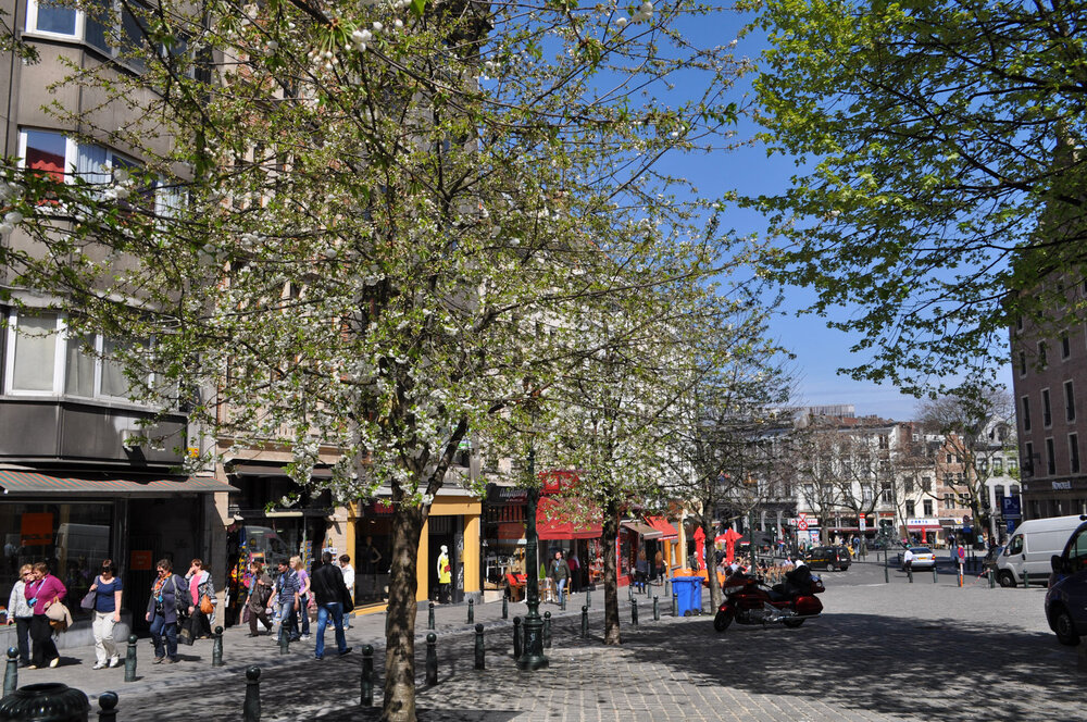 вояж 2013  (3372).jpg