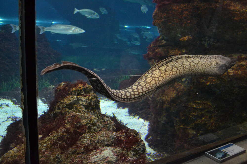 i - 2020-04-18T215358.795.jpg