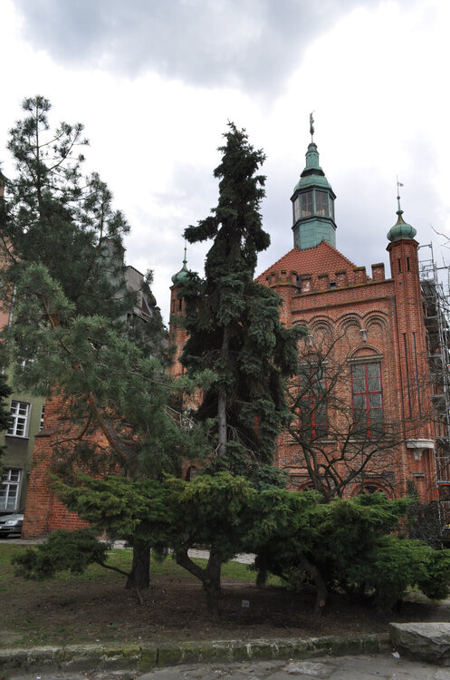 вояж 2013  (445).jpg