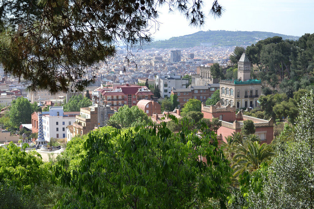 i - 2020-04-18T214911.501.jpg