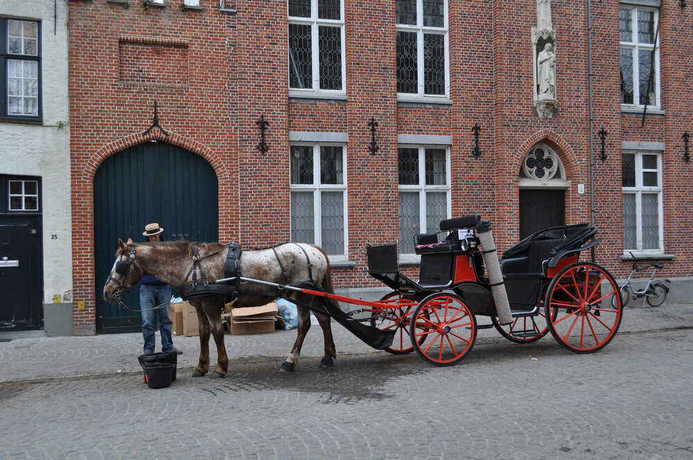 вояж 2013  (3163).jpg