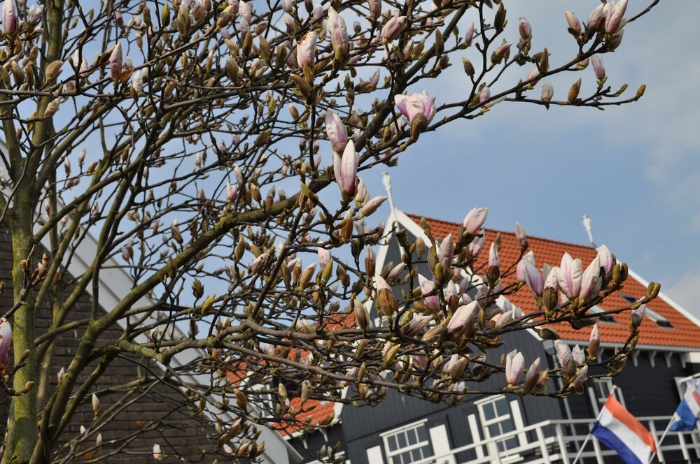 вояж 2013  (1534).jpg