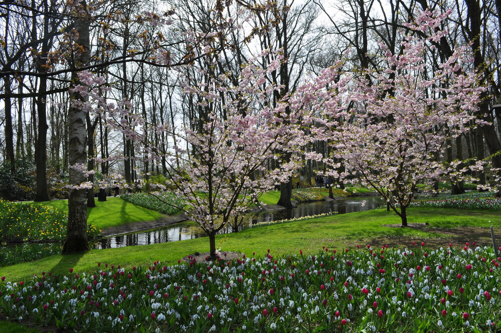 вояж 2013  (2503).JPG