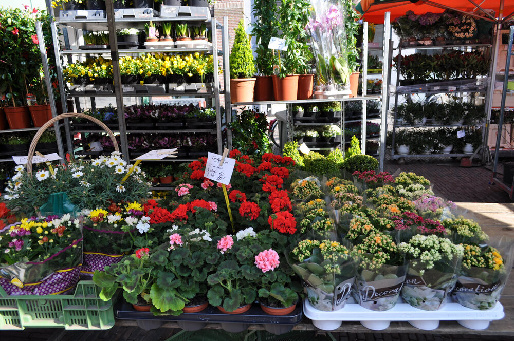 вояж 2013  (1222).jpg