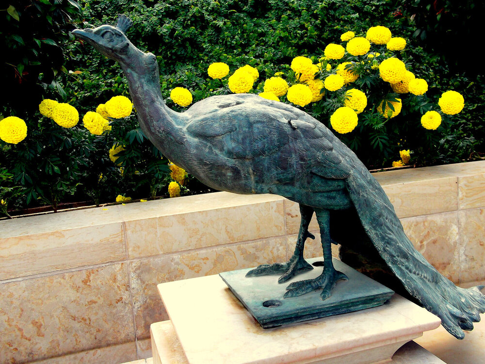 DSCF0417.JPG