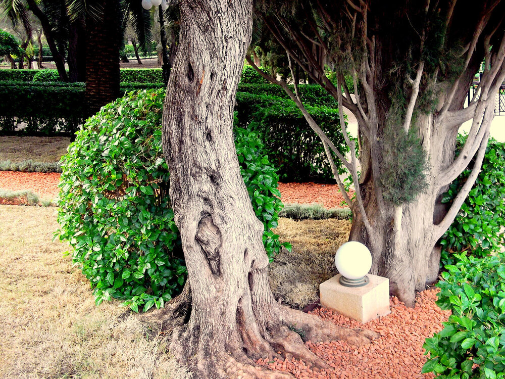 DSCF0430.JPG