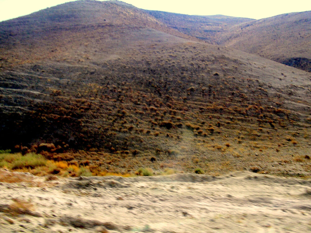 DSCF0446.JPG