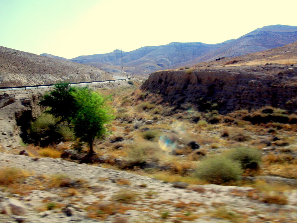 DSCF0447.JPG