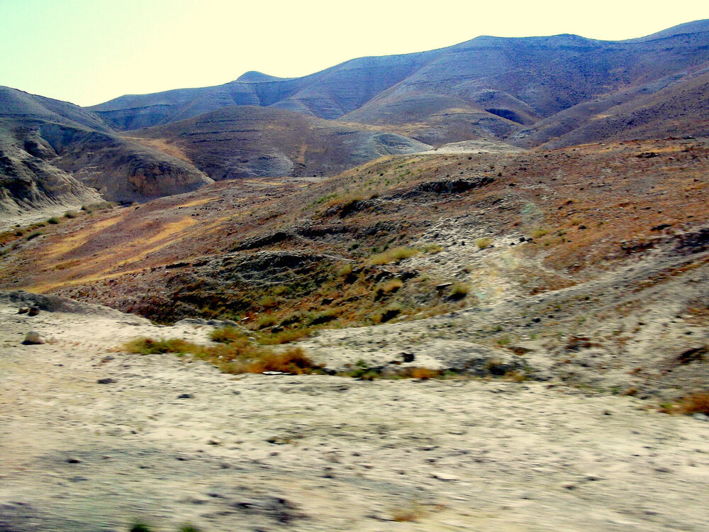 DSCF0448.JPG