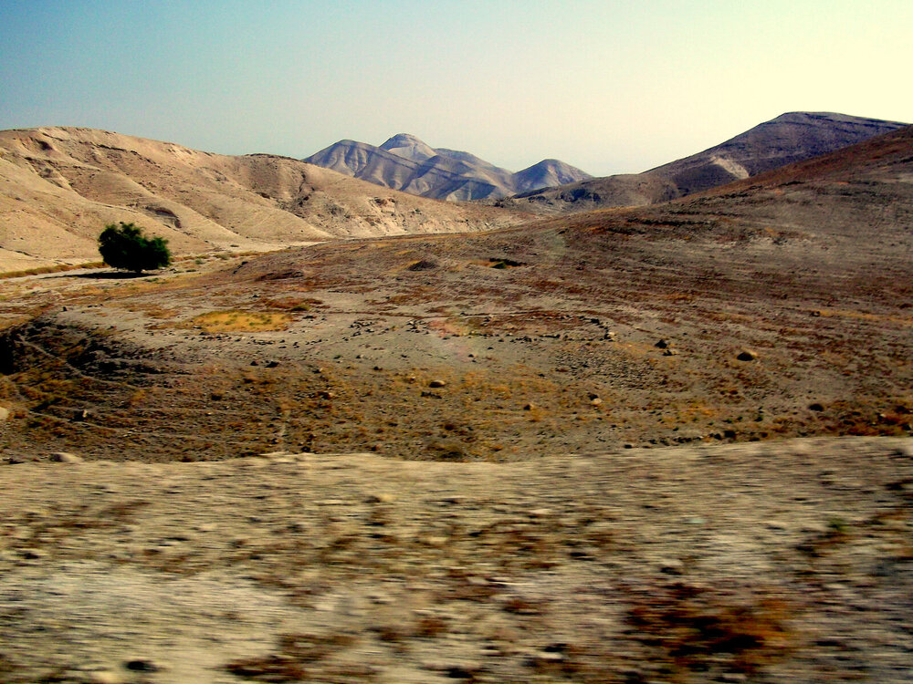 DSCF0449.JPG