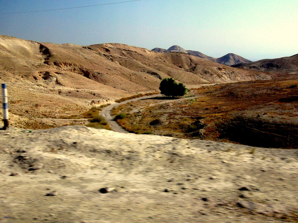 DSCF0450.JPG