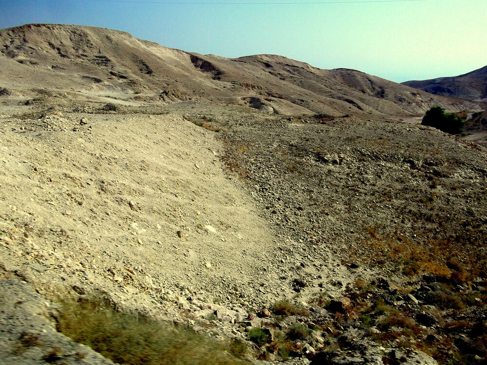 DSCF0451.JPG