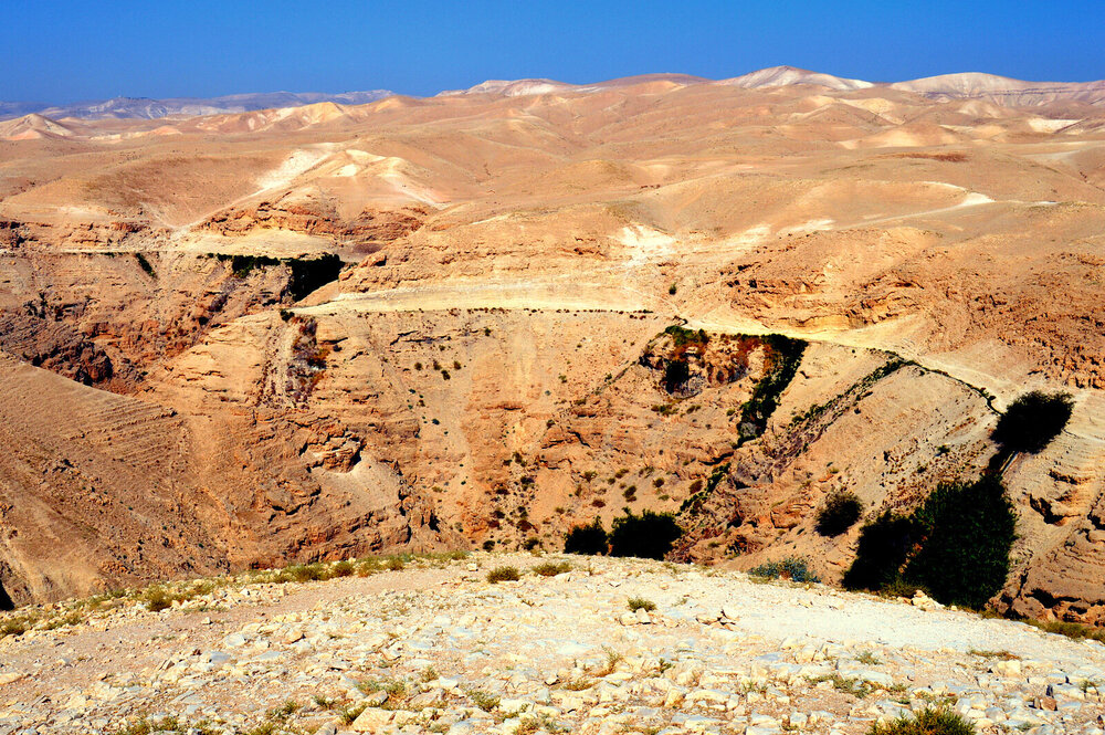 DSC_0735.JPG