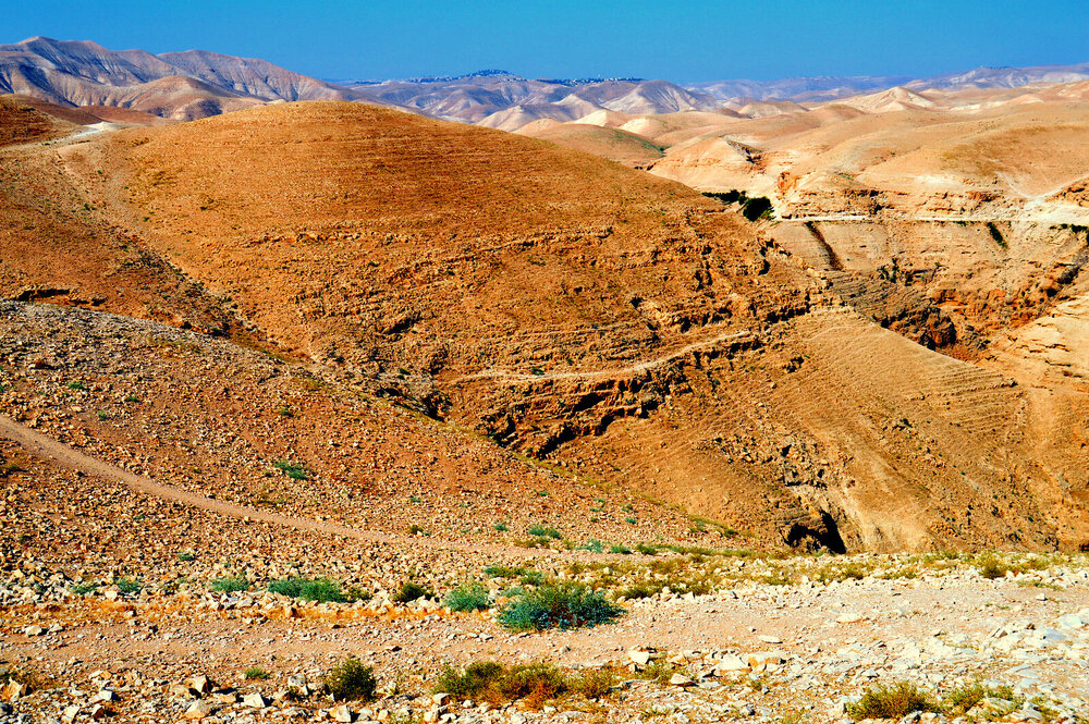 DSC_0736.JPG