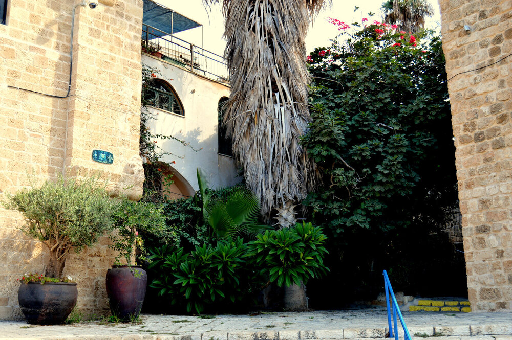 DSC_0926.JPG