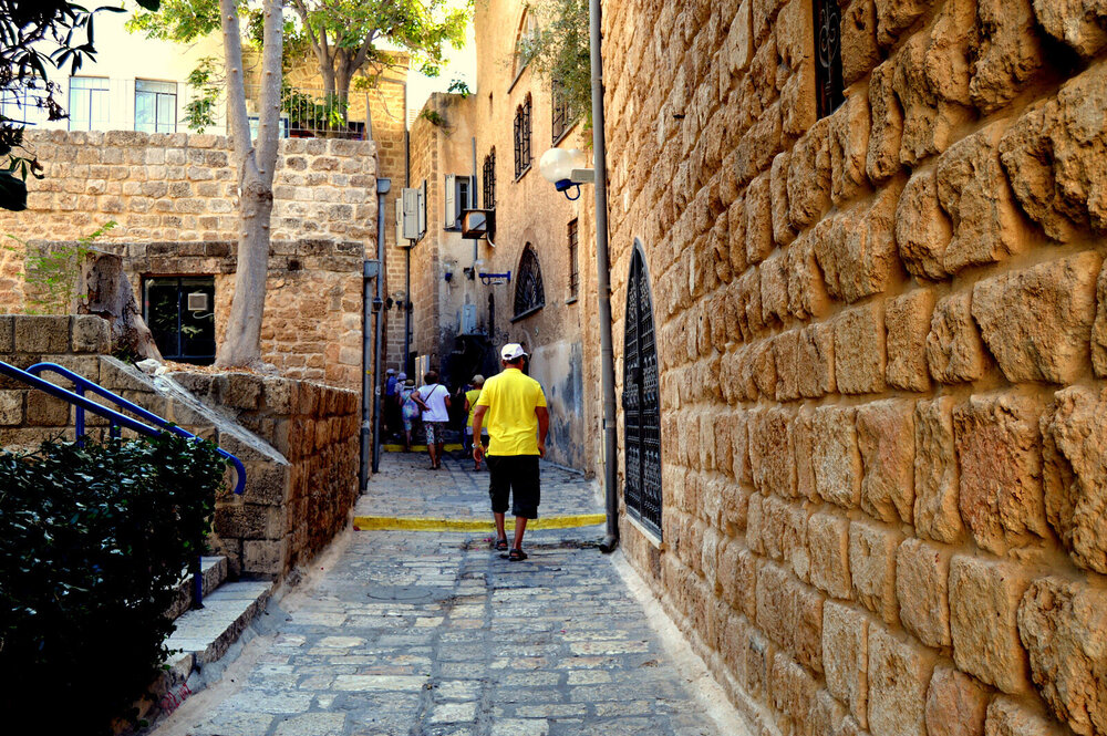 DSC_0929.JPG