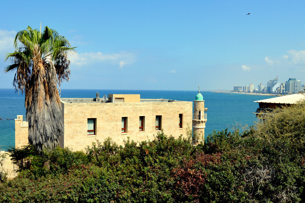 DSC_0969.JPG