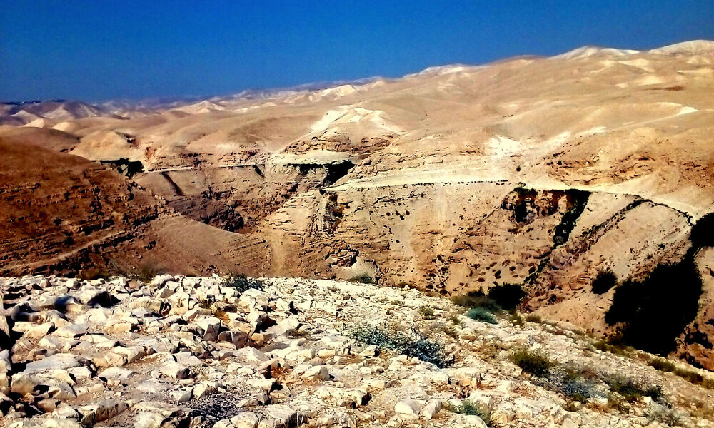IMG_20191001_095925_4CS.JPG