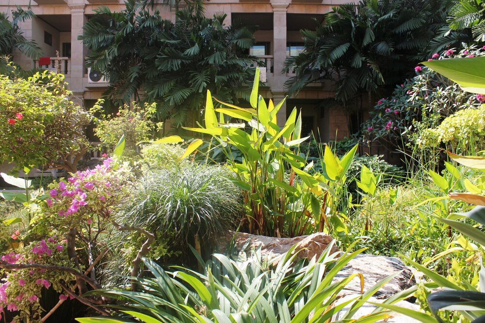 Изображение 1505.jpg