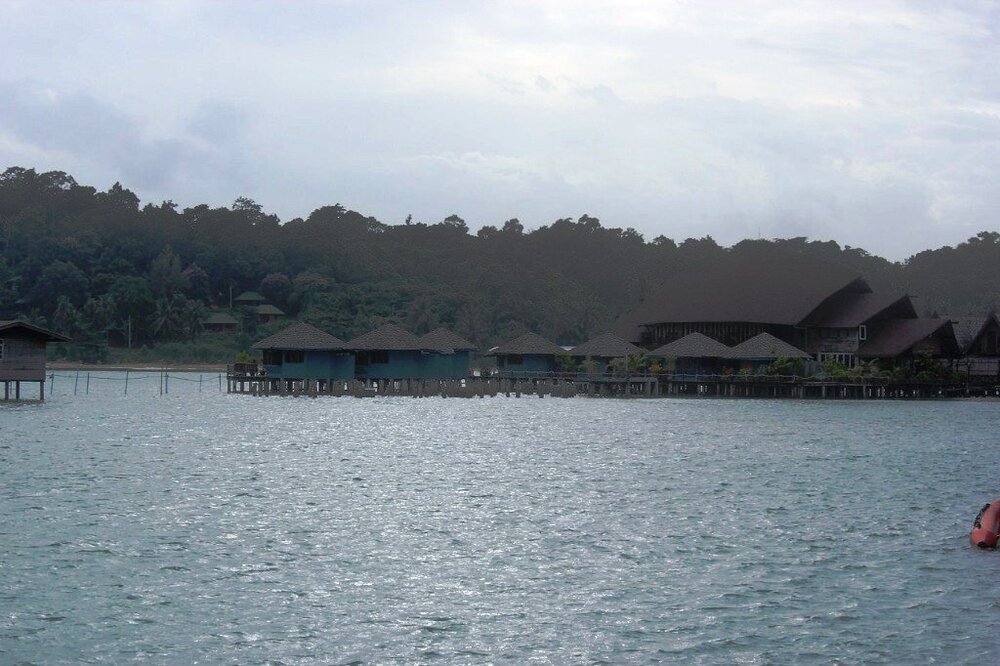 Изображение 2366.jpg