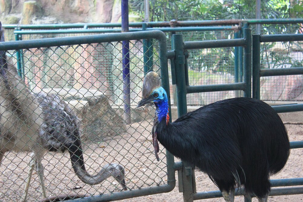 Изображение 1691.jpg