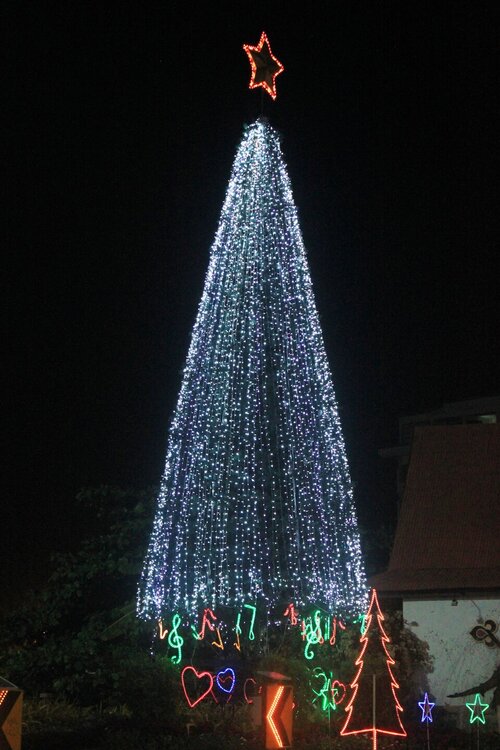 Изображение 1459.jpg