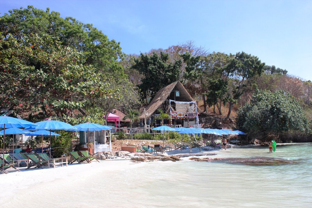 Изображение 2088.jpg